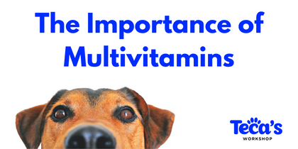 The Importance of Multivitamins for Your Pet's Health