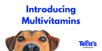 How to Introduce Multivitamins to Your Pet's Diet